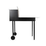 MARTE - Barbecue 50x90 a Carbone con Brucialegna Incorporato